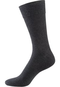 NUR DER 4-PACK  - Socken - anthrazitmel
