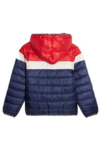 Creeks AMERICAN INSPIRATION - Winterjacke - bleu marine