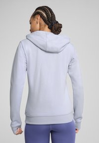 Hellgraues Kapuzensweatshirt mit langen Ärmeln, gerippten Bündchen und taillierter Passform. Die Rückansicht zeigt Nahtdetails und eine glatte Textur.