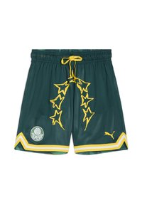 Gröna nätshorts med gula accenter och snörning. Har stjärnmönster, en Palmeiras-logotyp och gul kant vid fållen.
