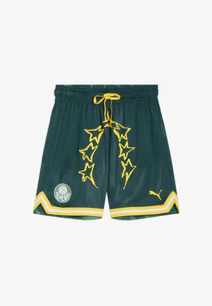 Pantaloni corti in rete verde con dettagli gialli e coulisse. Presentano motivi a stella, un logo del Palmeiras e rifiniture gialle sull'orlo.