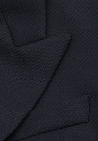 Reiss REGULAR FIT - HALLIE TEXTURED DOUBLE BREASTED - Žakete - navy