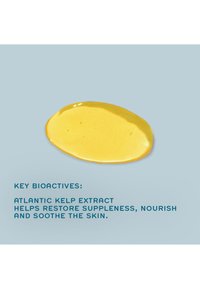 REN CLEAN SKINCARE ATLANTIC KELP AND MICROALGAE ANTI-FATIGUE BATH OIL - Kroppsolja och skimmer
