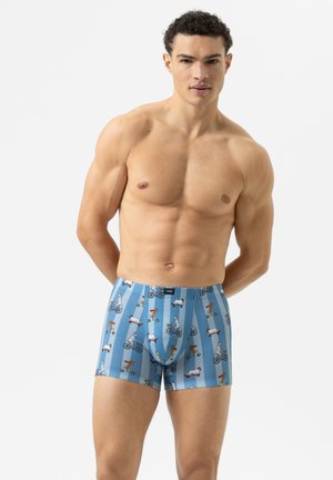 SERIE FUNNY DOGS - Boxer Briefs - baltic ocean