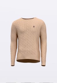 Bēša džempera ar rakstu, apaļu kakla izgriezumu un garām piedurknēm. Piedurknēm un apakšmalai ir ribotas malas, krūtīs neliels violets logotips.