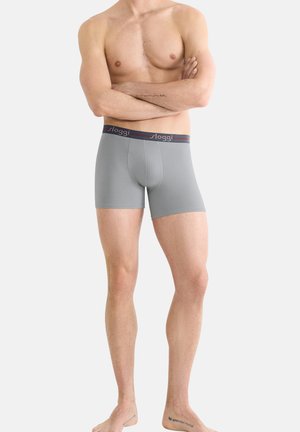 Graue Boxershorts mit einer enganliegenden Passform, featuring einem dunklen Bund mit einem kontrastierenden Streifen und Logo. Glatte Textur, knielanger Schnitt.