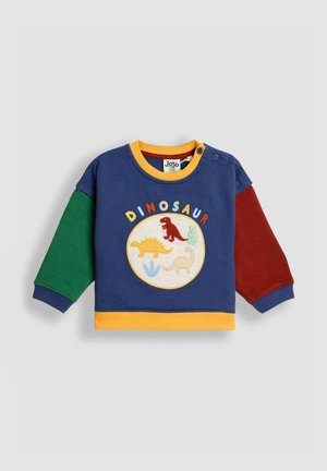 Marineblaues Sweatshirt mit grünen, roten und gelben Ärmeln. Mit einem Dinosaurier-Graphic und dem Text 'DINOSAUR' in mehrfarbigen Buchstaben. Aus einem Baumwollmischgewebe.