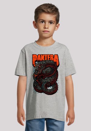 Gray cotton t-shirt featuring a vibrant red and black snake graphic with the text "PANTERA" above. Casual fit, short sleeves, round neckline.