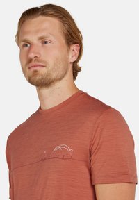icebreaker Camiseta estampada - cedar wood