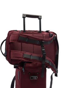 Bordowy plecak na kółkach z wysuwaną rączką, regulowanymi paskami, siateczkowymi wykończeniami i niebieskimi zamkami błyskawicznymi. Posiada solidną podstawę oraz kieszenie.