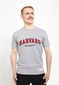 Šedé bavlněné tričko s nápisem "HARVARD" v červeném písmu a "UNIVERSITY" v černém písmu níže. Krátké rukávy s štítkem na dolním lemu.