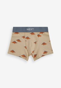 Next 10 PACK STANDARD - Panties - mineral dinosaur
