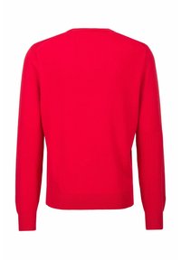 Roter Pullover mit langen Ärmeln, rundem Halsausschnitt und geripptem Saum. Glatte Textur, klassischer Schnitt, keine sichtbaren Muster oder Metallteile.