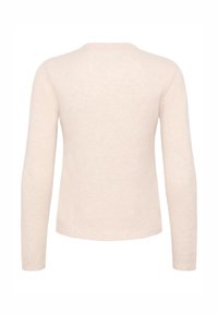Light pink sweater with long sleeves, round neckline, soft texture, and simple design. No visible patterns or hardware details.