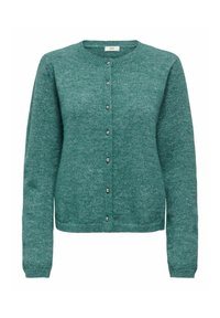 Zaļš adīts kardigans ar apaļu kakla izgriezumu, garām piedurknēm un priekšpusē aiztaisāmu pogu aizdari ar dekoratīvām sudraba pogām. Mīksta tekstūra.