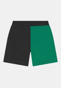 Polo Ralph Lauren ATHLETIC - Shorts - multi-coloured