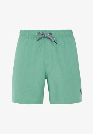 Protest, DAVEY BEACHSHORT DAVEY - Badeshorts - frosty green