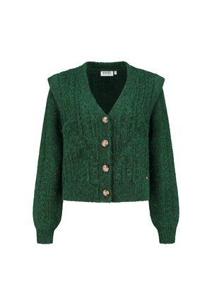 ASPEN - Chaqueta de punto - rain green