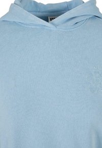 Šviesiai mėlyna džemperis su kapišonu, pagamintas iš minkštos medvilnės mišinio; turi siuvinėtą gėlės dizainą ant krūtinės; laisvas kirpimas ir reguliuojamas raištelis kapišone.