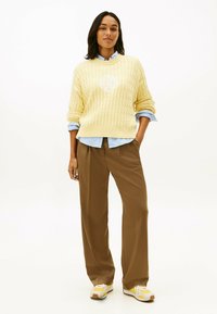 Suéter de punto de color amarillo claro con cuello redondo, superpuesto sobre una camisa de rayas azul y blanca. Pantalones de pierna ancha marrones y zapatillas con acentos amarillos.