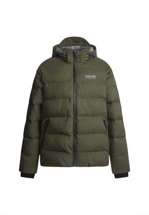 RED BULL RACING CITY PUFFER JACKET - Talvitakki -  green