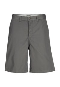 Jack & Jones KARL - Shorts - grau