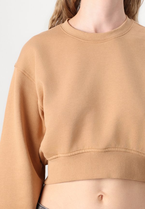 Sweatshirt - tanzine3