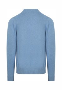 Hellblauer Pullover mit rundem Ausschnitt und langen Ärmeln. Hergestellt aus weichem Material, mit gerippten Bündchen und Saum. Minimalistisches Design.