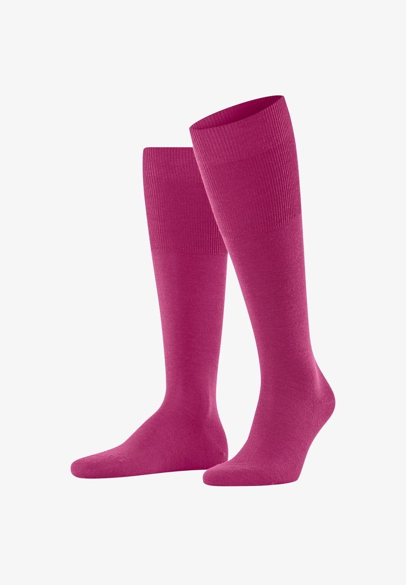 FALKE AIRPORT - Kniestrümpfe - magenta