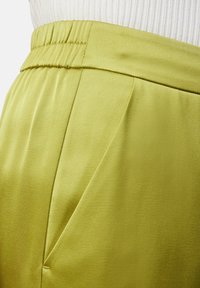 Jasnozielone satynowe spodnie o teksturowanym wykończeniu, z elastycznym pasem i bocznymi plisami, które zapewniają dodatkową strukturę i dopasowanie.