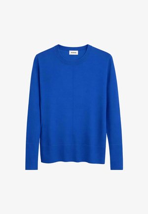 Langärmeliges, königsblaues Sweatshirt mit Rundhalsausschnitt sowie gerippten Bündchen an Ärmeln und Saum, mit dem Schriftzug "RODIER" auf der Innenseite des Kragens.