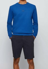 Blå sweatshirt med långa ärmar, rund halsringning och en liten logotyp på bröstet. Bärs med mörka shorts, vilket visar en avslappnad outfit.