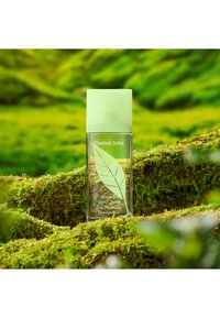 Immagine in miniatura 5