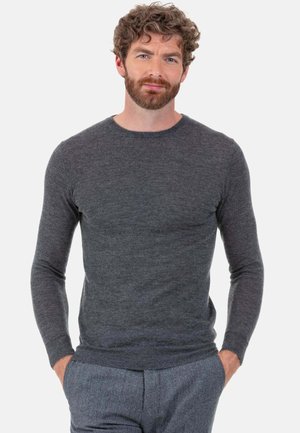 Grauer Pullover mit langen Ärmeln aus weichem Stoff mit rundem Ausschnitt, in körpernaher Passform und mit minimalen Nahtdetails.