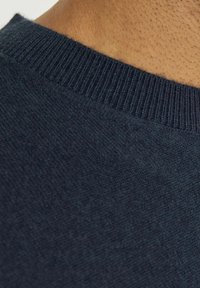 R.D.D. ROYAL DENIM DIVISION MIT RUNDHALS  - Pulóver - salute