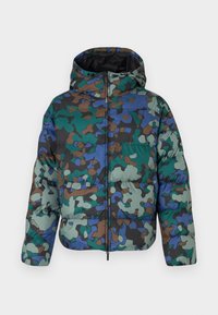 MOUNTAIN ECO HOODED JACKET GRAPHIC - Téli dzseki - multi-coloured