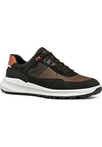 Geox Zapatillas - dark coffee