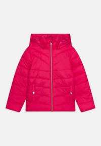 Selected, pink peacock