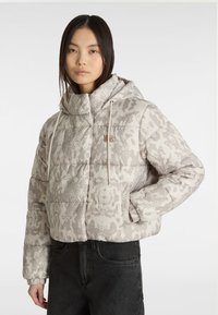 Vans HILLGATE CROPPED PUFFER - Winterjas - light grey