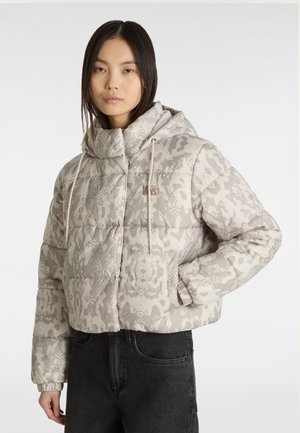 Vans HILLGATE CROPPED PUFFER - Winterjas - light grey