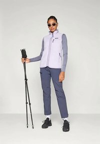 Asmuo, vilkintis akinius nuo saulės, šviesiai violetinį liemenę, pilką ilgomis rankovėmis marškinį, tamsiai mėlynas kelnes, juodus batus, laiko du juodus žygių lazdas.