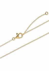 Goldene Metallkette mit einem Karabinerverschluss, dünnen Gliedern und einer glatten Oberfläche. Schlichtes Design mit einer glänzenden, reflektierenden Textur.