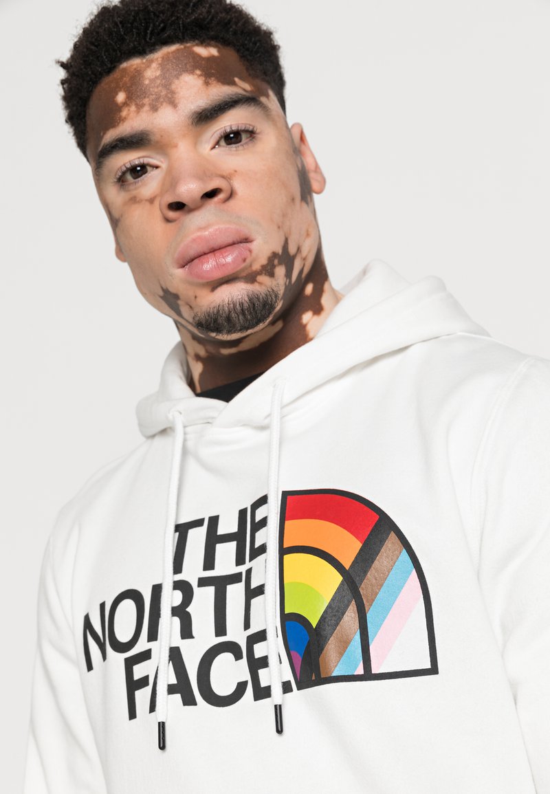the north face pride hoodie sweatshirt