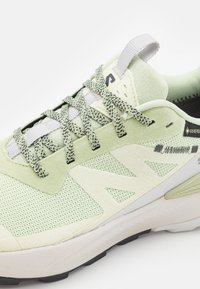 Salomon ELIXIR ACTIV GTX  - Túracipők - celadon green/glacier gray/phantom