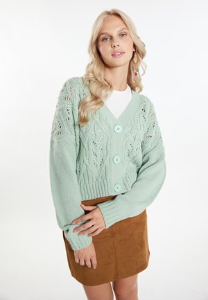 Máty zelený pletený cardigan s otevřenými vzory, vybavený třemi světle modrými knoflíky, který je spárován s hnědovou sukní. Dlouhé, volné rukávy.