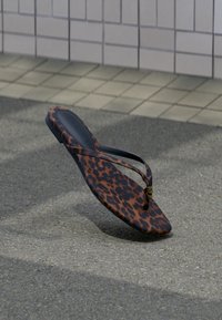 Δεν επιλέχθηκε, brown