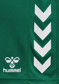 Grön tröja med vita zigzag-streck och en logotyp längst ner till vänster. Tillverkad av ett slätt, ventilerande tyg med detaljer i sömmen.