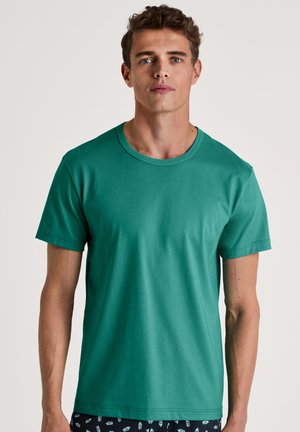 Groen T-shirt met korte mouwen en een ronde hals, gemaakt van gladde stof, met een getailleerde snit en een eenvoudig ontwerp. Geen zichtbare logo's of patronen.