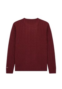 Maglione a trecce color porpora con scollatura rotonda e maniche lunghe. Presenta polsini e orlo a coste, realizzato in un morbido tessuto testurizzato.