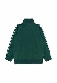 Giacca a track sintetica verde con alto colletto, strisce laterali bianche, polsini e orlo elasticizzati. Tessuto liscio, design leggero.